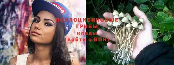 амф Михайловск